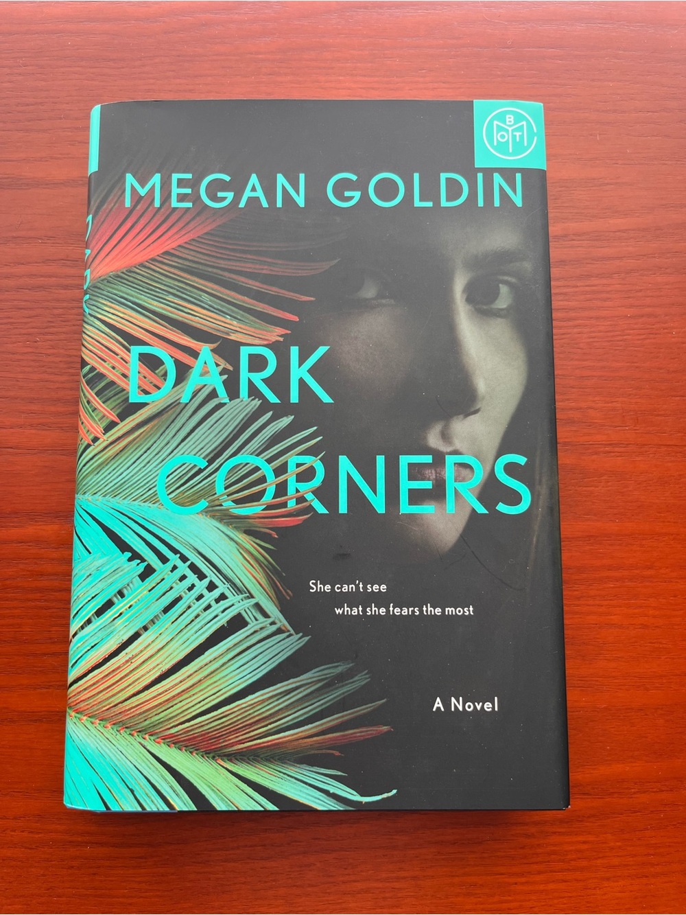 Dark Corners by Megan Goldin - Black & Teal Hardcover Novel